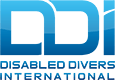 ddi logo