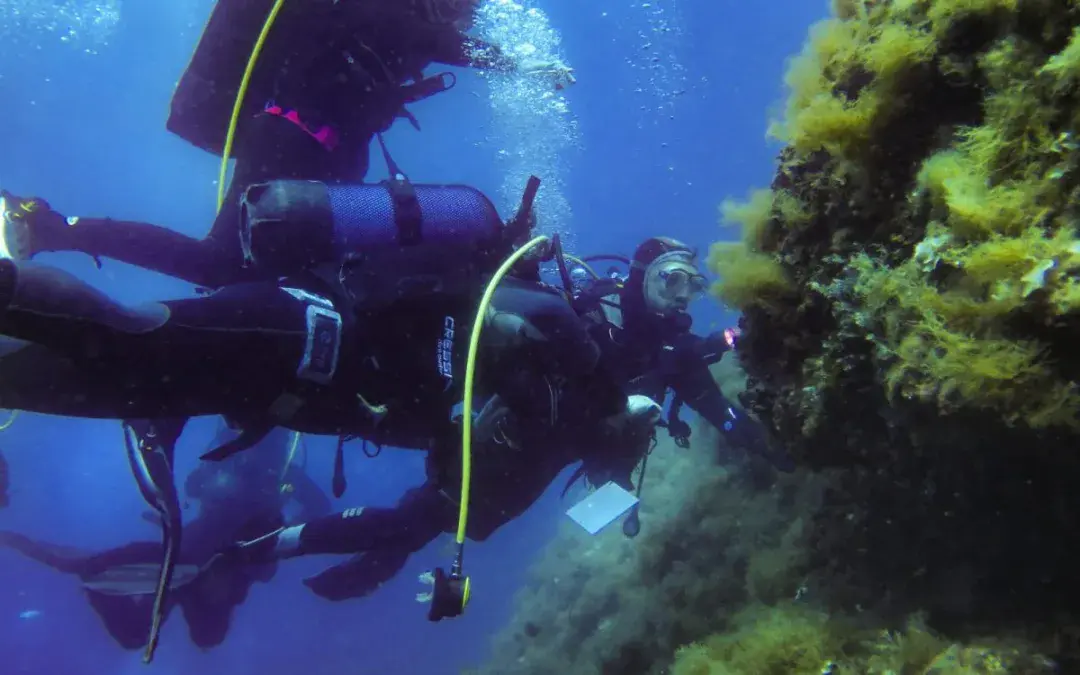 Esplora e proteggi il tuo mare: diventa un Ecodiver MAC