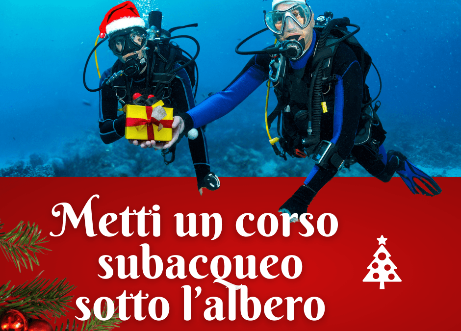 Metti un corso subacqueo sotto l’albero!